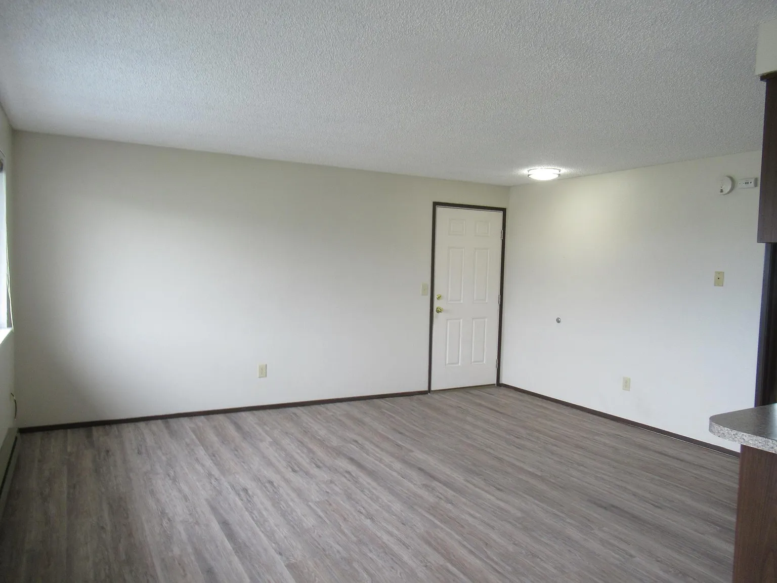 1 bed, $1,450 — Photo 3