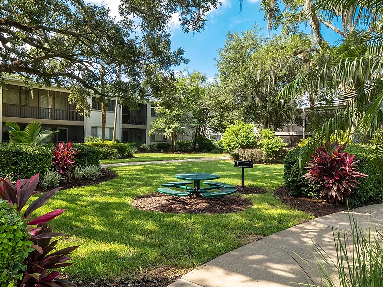 Savor a meal in our enchanting picnic area, complete with a charcoal grill, nestled among majestic oak trees for an idyllic outdoor dining experience.