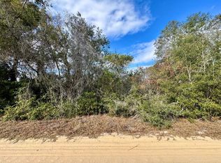 NE 235th St LOT 1, Fort Mc Coy, FL 32134