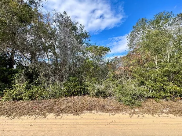 NE 235th St Lot 1, Fort Mc Coy, FL 32134