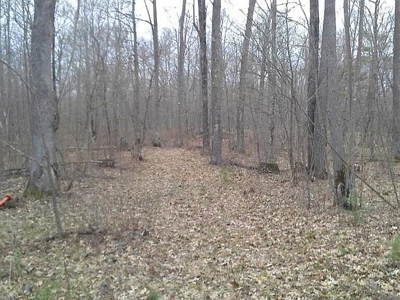 3rd image of X 280th Avenue Bone Lake Twp