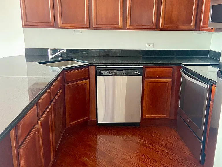 525 W Hawthorne Pl #2103 — Photo 5