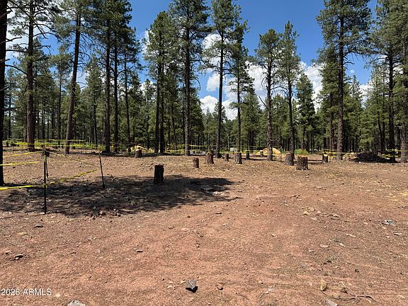 3rd image of 1925 FLOWER SPRING Trail