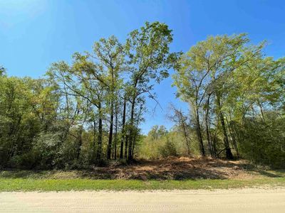 Vacant Ne Nixon Loop Lot 6, Madison, FL, 32340