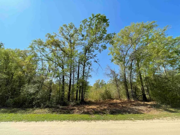 Vacant Ne Nixon Loop Lot 6, Madison, FL 32340