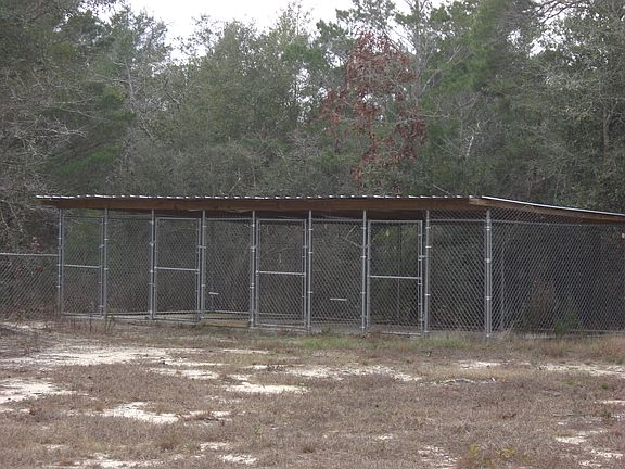 Dog kennel in the back yard.