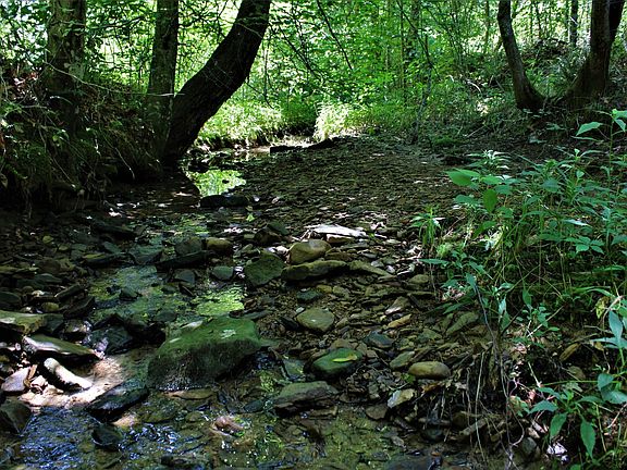 Nice stream running through the property