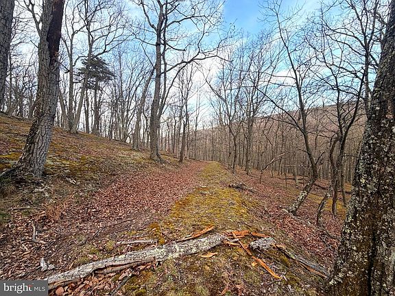 4th image of 5 Preserve Rd