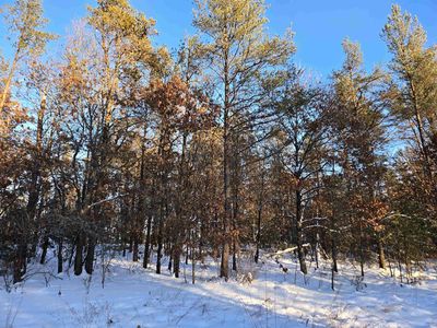 Lot 1 25th Street #1, Necedah, WI, 54646