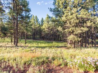 13314 E Kings Deer Rd, Parks, AZ 86018