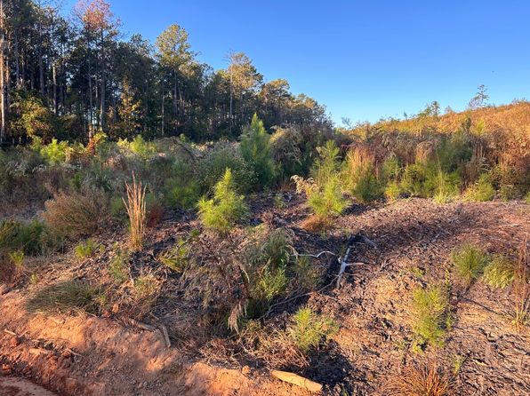 0 Morrissette Rd, Lower Peach Tree, AL 36751