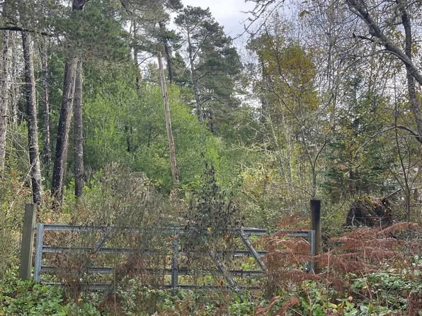 Prosper Rd, Bandon, OR 97411