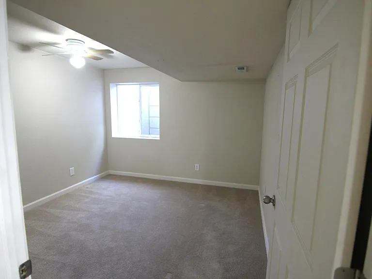 Basement flex room (can be study/bedroom/exercise room)