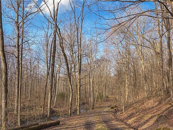 5th image of Aukerman Rd