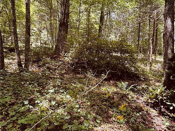 32nd image of 6835 NC 183 Highway
