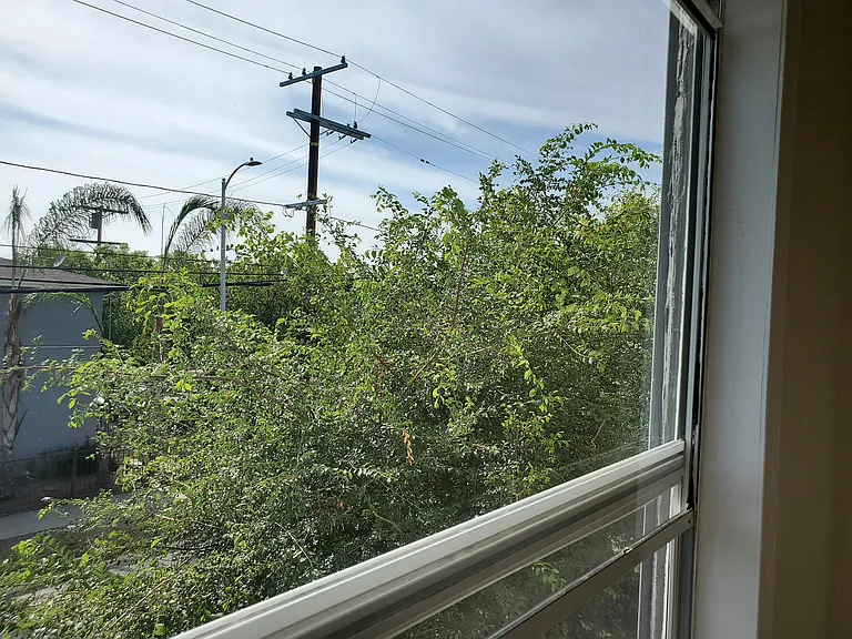 view of trees from one of the bedrooms