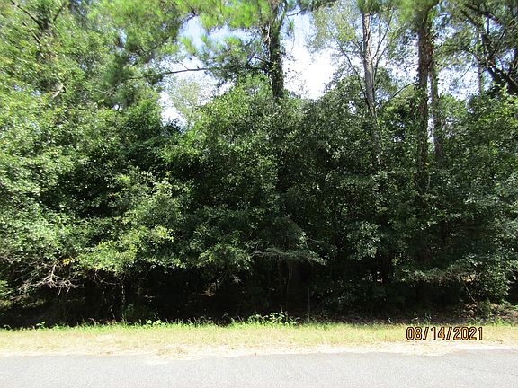 3rd image of 907 Westview Dr