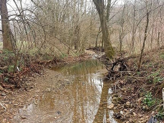 4th image of 0 Old Bottom Rd