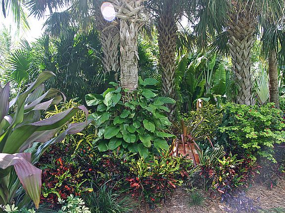 Gardens
