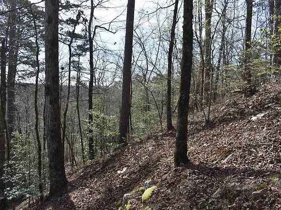 3rd image of 0 Old Dallas Rd W