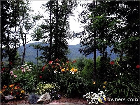 Patio & Garden Views