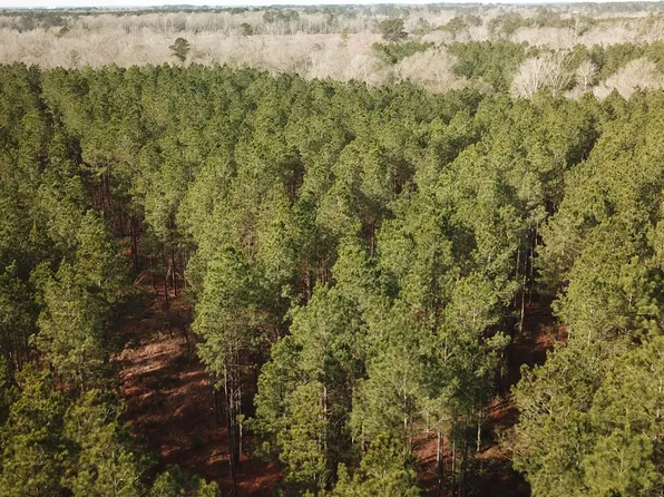 0 Countree Rd, Zwolle, LA 71486