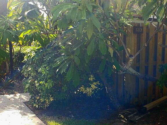 3rd image of 200 Banana River Blvd #603