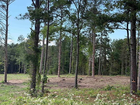 2nd image of 1290 County Road 3210
