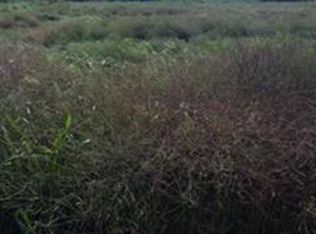 17949 Fm 2115, Salado, TX 76571