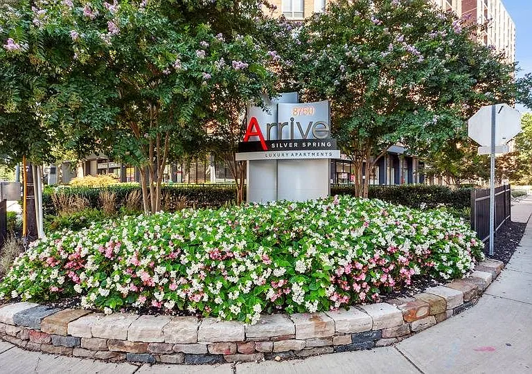 Arrive Silver Spring — Photo 83