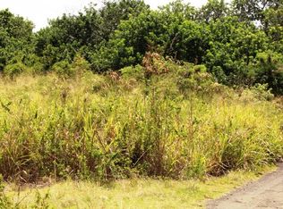 Puka St LOT 5, Naalehu, HI 96772