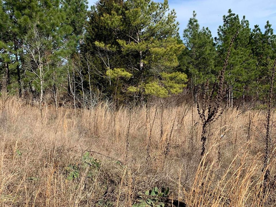 2nd image of Tbd Ridge Road