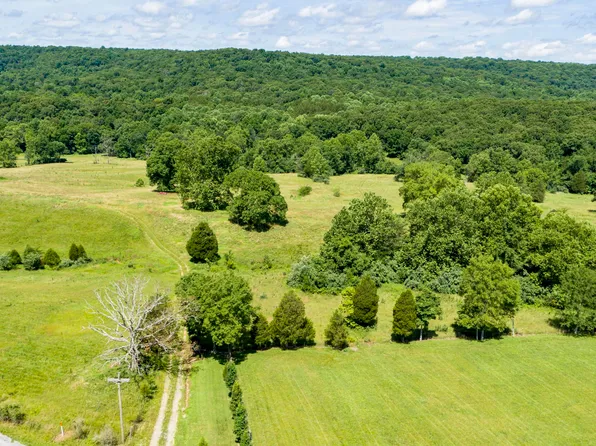 0 Henry Hicks Rd, Herod, IL 62947