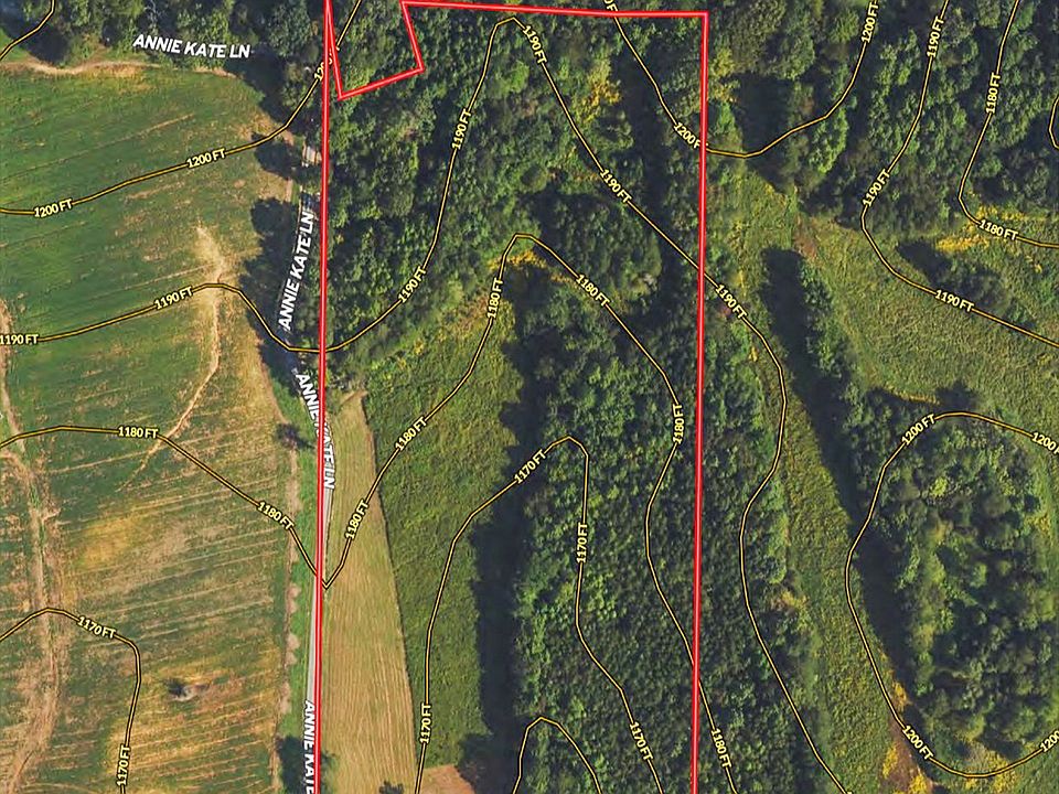 2nd image of 233 Annie Kate Ln