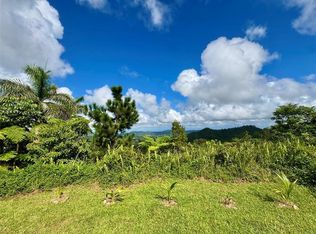 Calle 5, Caguas, PR 00727