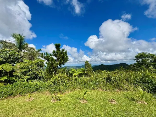 Calle 5, Caguas, PR 00727