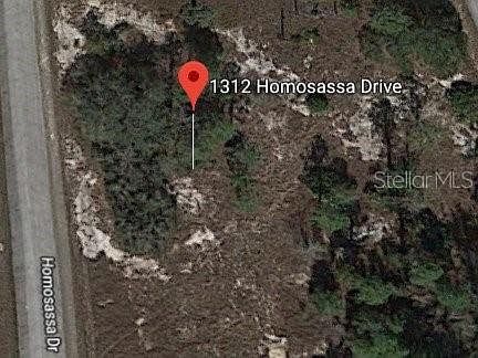 2nd image of 1312 Homosassa Ct