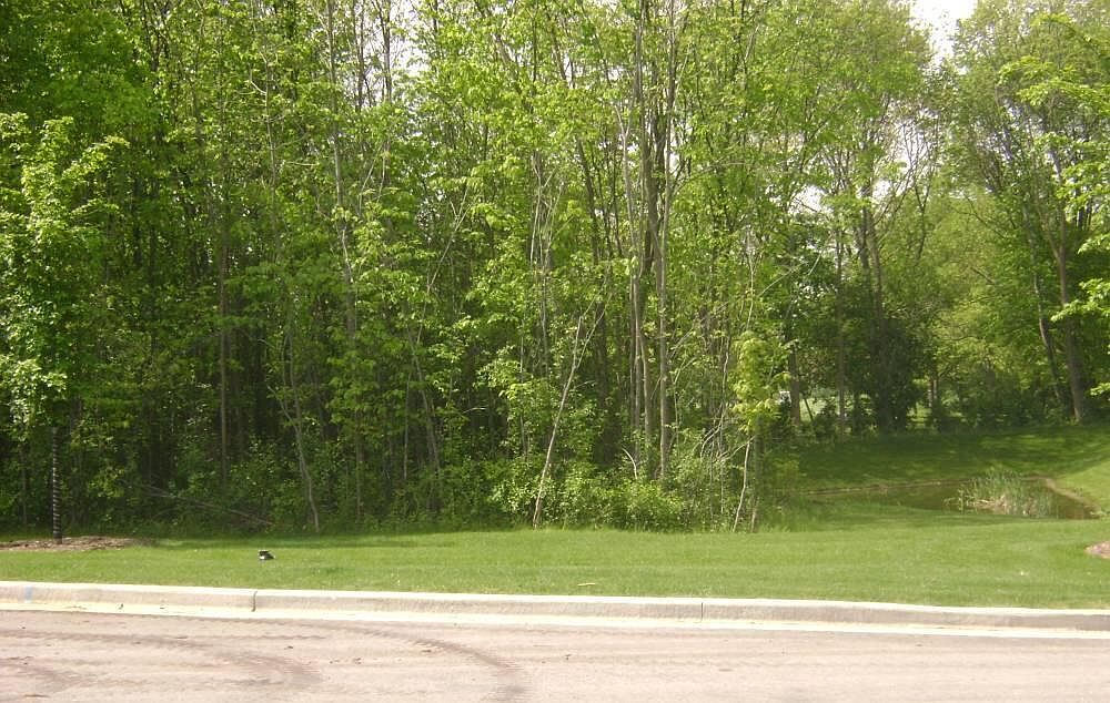 N80W13299 RIVER PARK DRIVE #Lt1