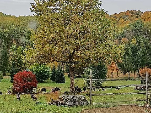 4th image of 17218 Innis Lake Rd