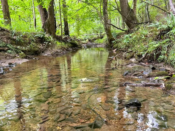 Blanton Rd, Sharon, SC 29742