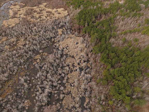 3rd image of 0 Tobacco Rd