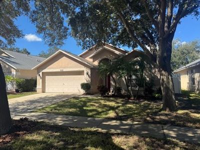 7021 Colony Pointe Dr, Riverview, FL, 33578