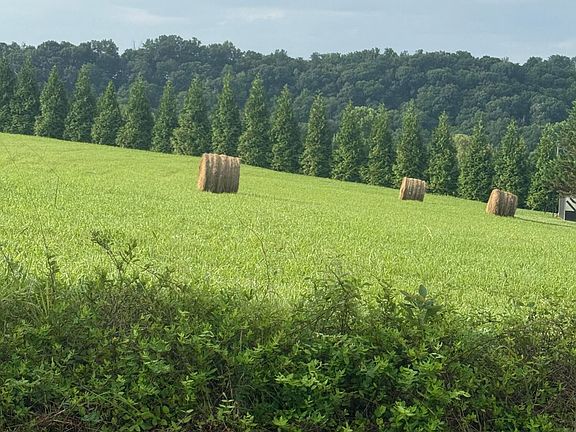 2nd image of Holston Acres