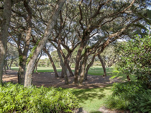 4th image of 181 Orchid Way