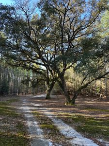 Cravey Bridge Rd, Florala, AL, 36442