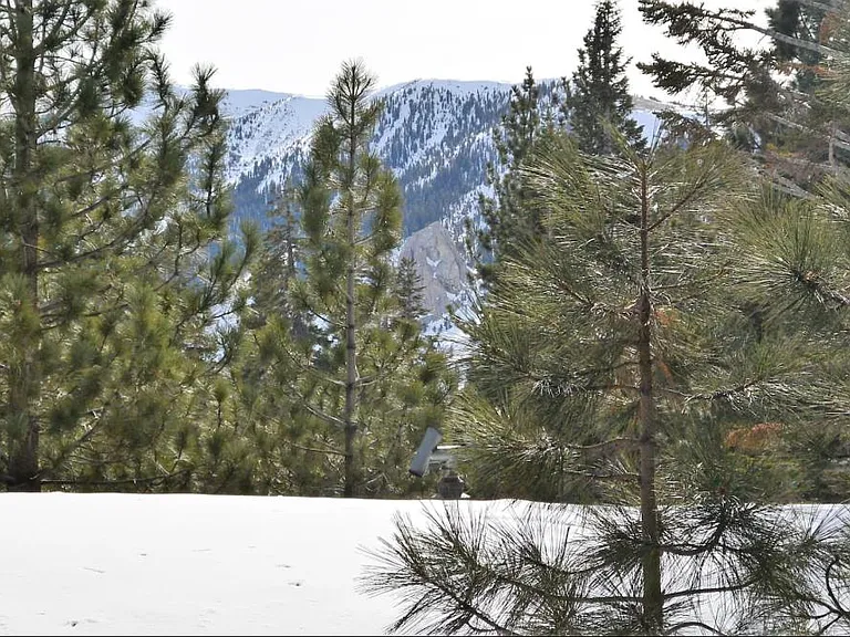 Tyrol Ln — Photo 19