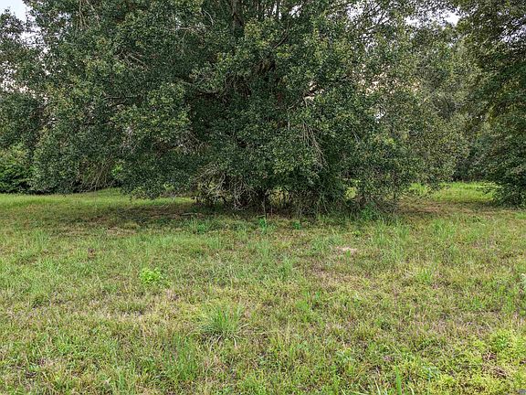 2nd image of 11103 Buddy Ellis Rd