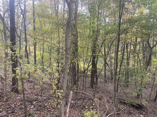 2230 Birds Creek Rd, Tunnelton, WV 26444
