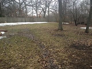 2nd image of 1420 Ancient Oaks Dr