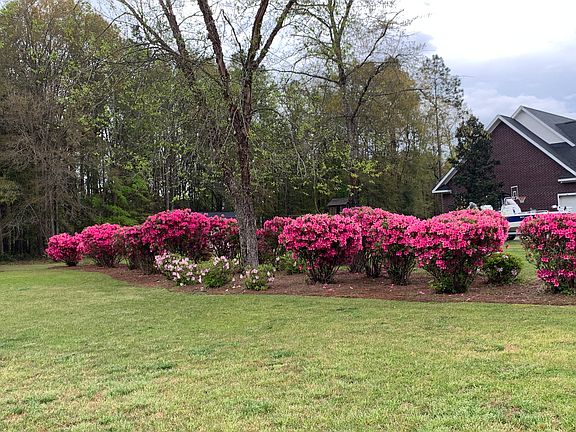 Recently trimmed back